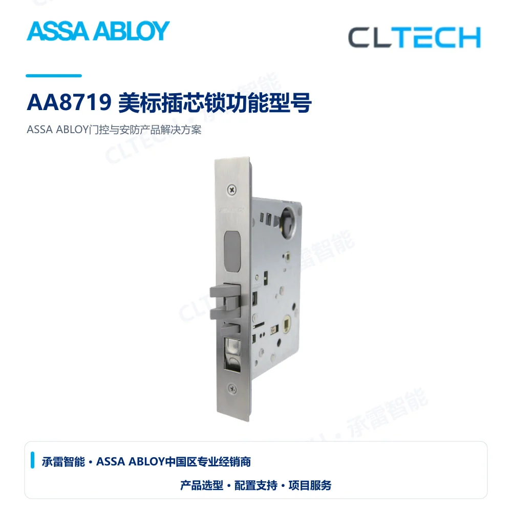 ASSA ABLOY AA8719 美标插芯锁功能型号产品图