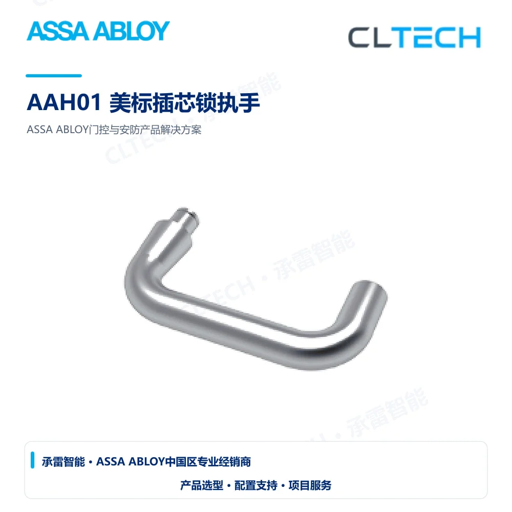 ASSA ABLOY AAH01 美标插芯锁执手产品图