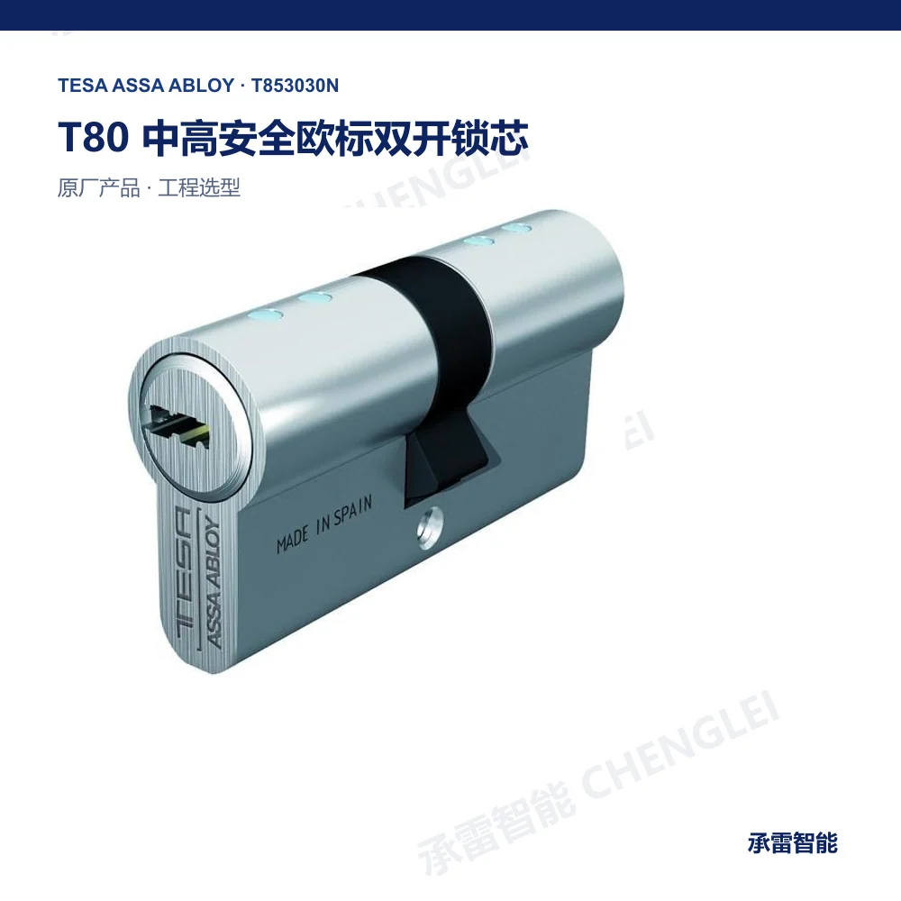 TESA T80 机械锁芯与钥匙系统产品图